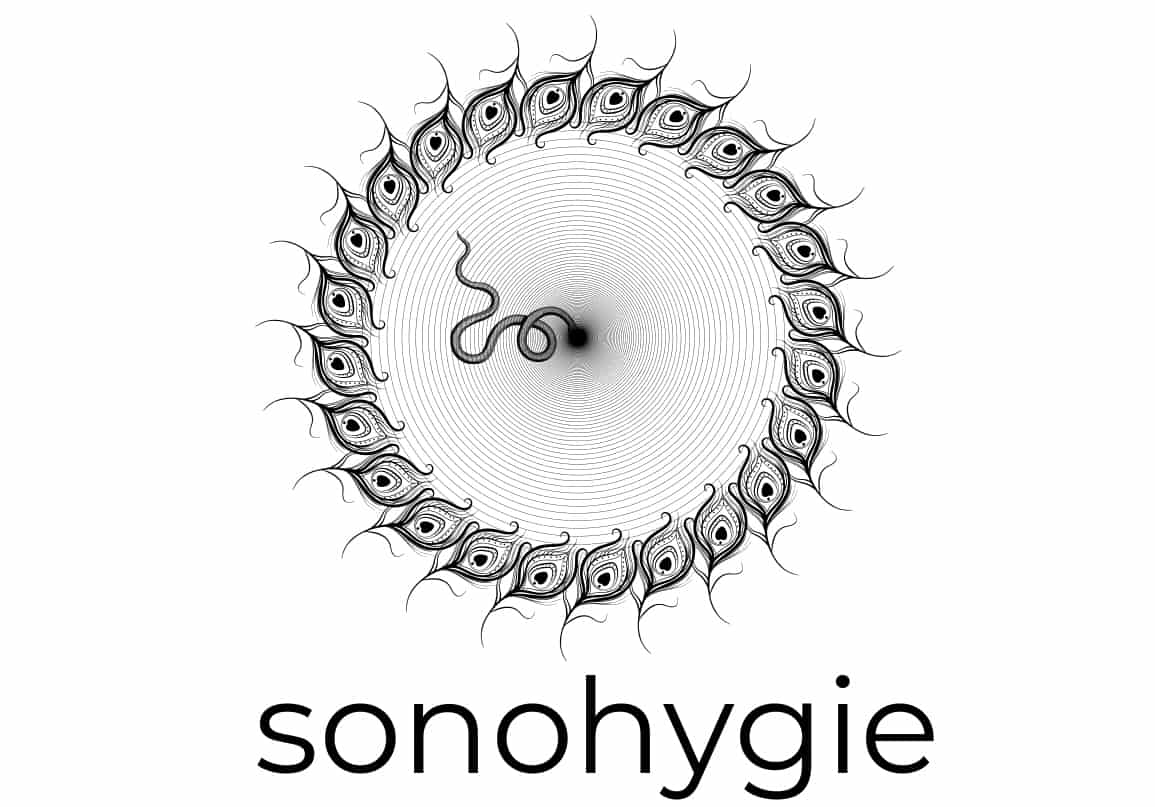 Sonohygie
